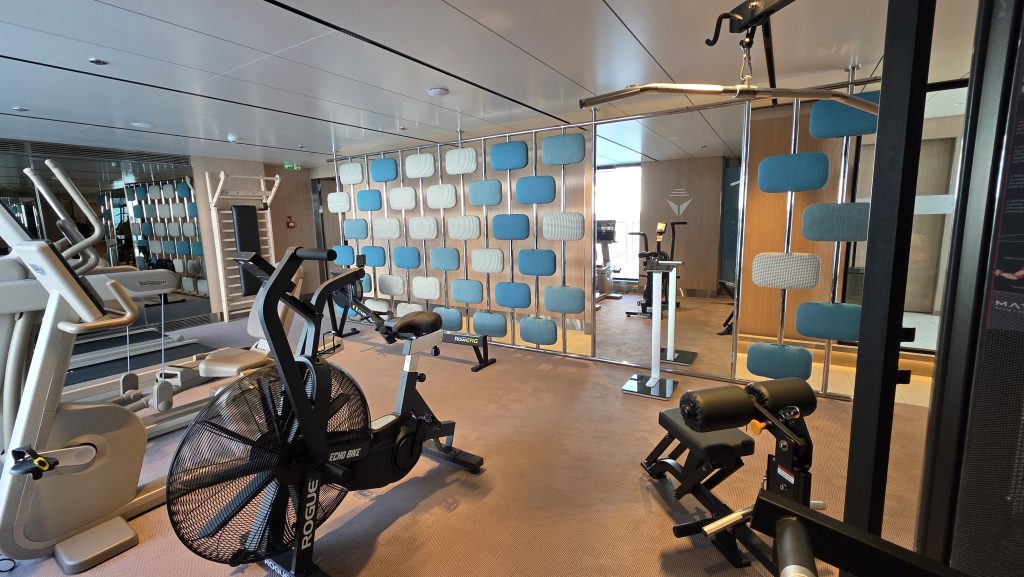 Gym and wellness centre on Deck 2 of the Emerald Kaia
