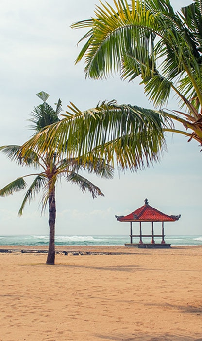 Palm trees on a sandy beach with a small red-roofed gazebo near the shoreline.