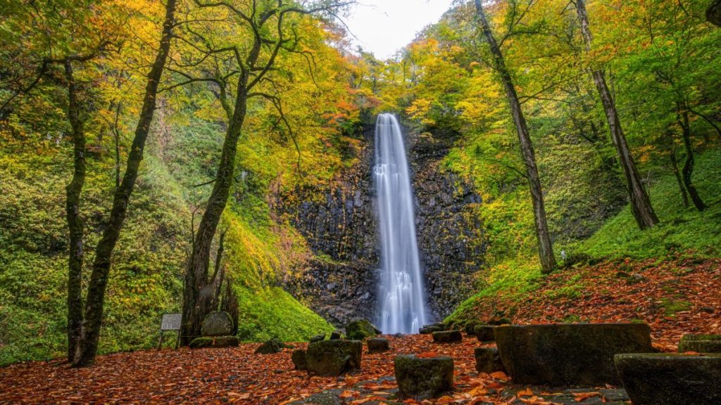 Waterfall cascading down a rocky cliff in a lush autumn forest with orange and green leaves on the ground and trees surrounding the scene.