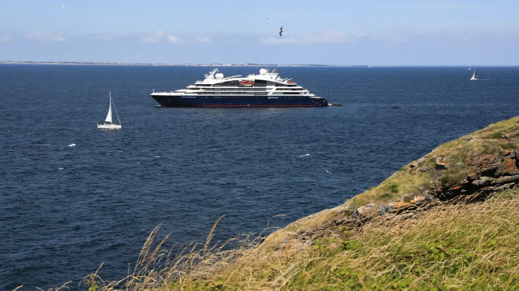 Large cruise ship on the blue sea seen from a grassy coastal foreground with seagulls overhead, calm day.