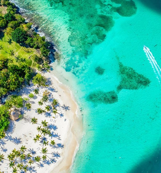 Aerial view of a tropical beach with palm trees lining a white sand shore and bright turquoise sea with a boat wake on the water edge.