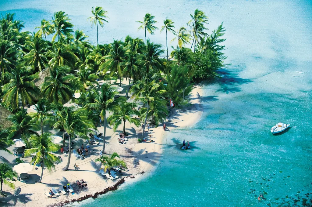 A tropical island cove with palm trees, white sand beach, and turquoise ocean nearby. a boat anchored offshore.