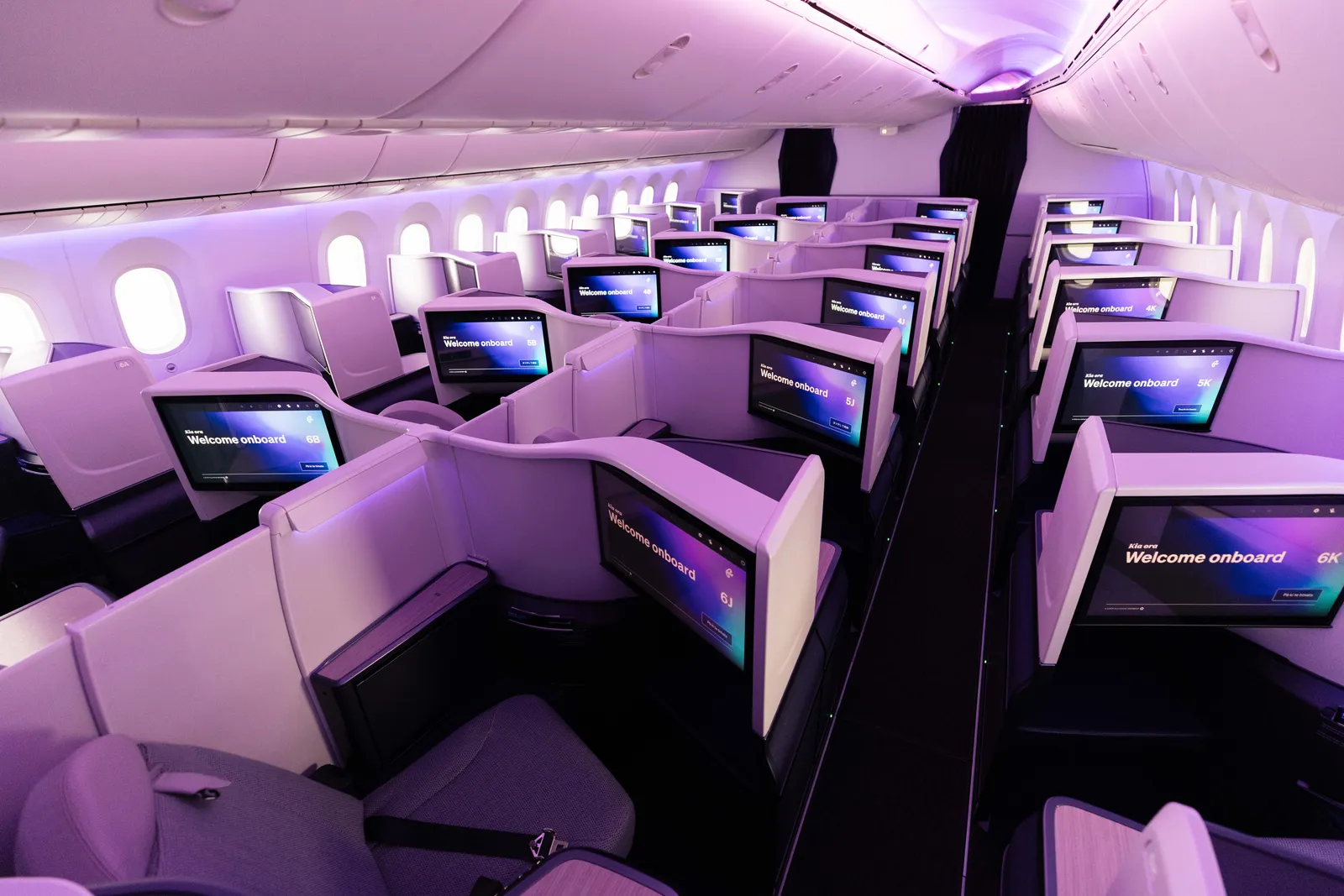 Air New Zealand Business Premier™